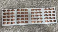 スーベニアメダル