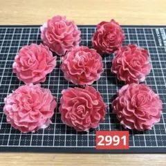 ソラフラワー　2991