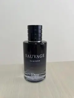 Dior Sauvage Eau de Parfum 100ml