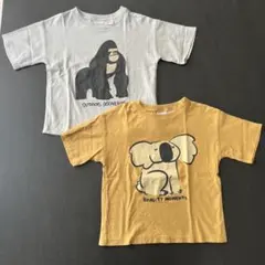 ZARA 98cm Tシャツ　ゴリラ　コアラ　2枚セットのサムネイル