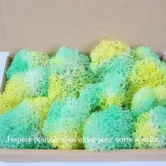 Item thumbnail for item 22c36b94-17f2-4575-99f1-cd4cd194375a