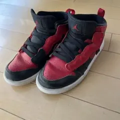 Nike Air Jordan 赤黒 ハイカットスニーカー　20㎝