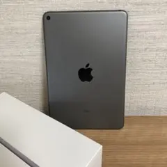 iPad mini 第5世代 【64GB】 A2133 スペースグレイ