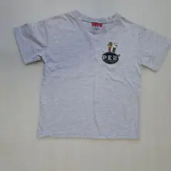 Item thumbnail for item 8b4905ea-17db-468e-8db7-c4db35c6f807