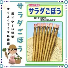 sister.s様 リクエスト 7点 まとめ商品