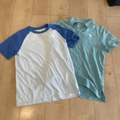 アバクロ　半袖ポロ&Tシャツ　2枚セット