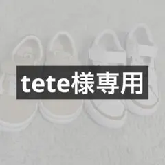 tete様専用ページです