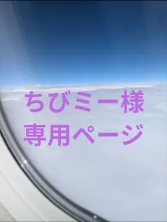 ちびミー様 リクエスト 2点 まとめ商品