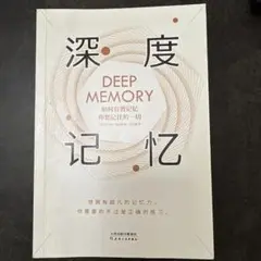 深度记忆 (Deep Memory)