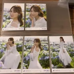 田村真佑　生写真　ここにはないもの