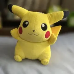 ポケモンセンター マンスリーピカチュウ 2003年 6月 ぬいぐるみ ソーナノ ポケモンセンター マンスリーピカチュウ 2003年 6月 ぬいぐるみ