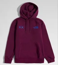 ザ ノースフェイス XX カウズ フーディ