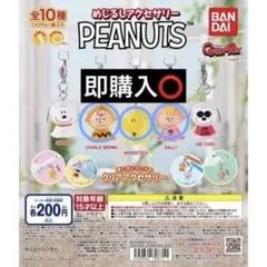 【即購入⭕️】PEANUTS めじるしアクセサリー 3種セット 美品 即購入可