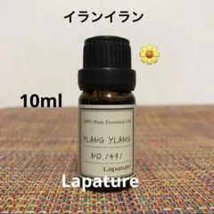 ●イランイラン●エッセンシャルオイル●リラックスのサムネイル