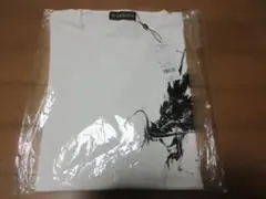 Item thumbnail for item 5e549c56-879a-40eb-995c-8c8056d5e6dc