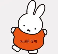 Saki様 専用ページ