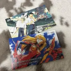 エヴァンゲリオン愛蔵版 特典 オリジナルイラストカード