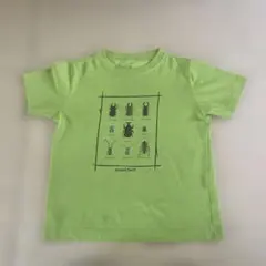 mont-bell キッズ Tシャツ 120cm 昆虫柄のサムネイル