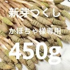 かぼちゃ様専用　つくし450g