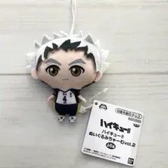 ハイキュー!! ぬいぐるみちゃーむ vol.2 木兎光太郎 マスコット