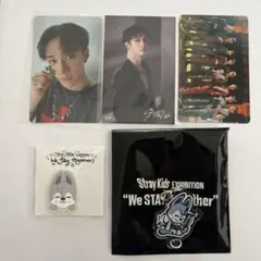 Stray Kids スキズ 展覧会 ランダム連結キーホルダー ウルフチャン