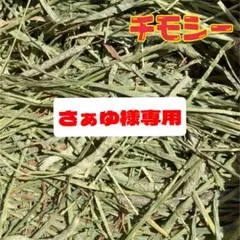 さぁゆ様専用　チモシー☆スーパープレミアム☆1番刈り☆US産R6年産