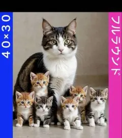 ココ★プロフ必読お願いします★様 リクエスト 2点 まとめ商品