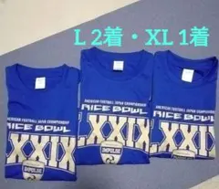 アメフトPanasonicインパルス　応援Tシャツ　ライスボール　サイズL•XL