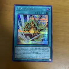 【未使用品】遊戯王 閃光の封殺剣 シークレット