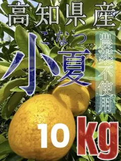 （鹿児島特産品）桜蘭①サワーポメロ　箱満杯詰　いちき串木野市産 鹿児島特産品）桜蘭様専用①サワーポメロ 箱満杯詰 いちき串木野市産