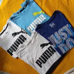 Item thumbnail for item 87127ff3-1360-4167-805e-495220aae9c4