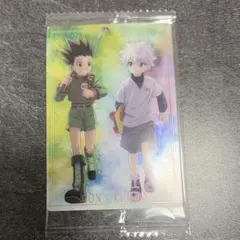 イタジャガ HUNTER×HUNTER 4 ゴン キルア