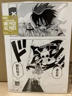 ONE PIECE ALL PAGES アラバスタ編 原画シート - メルカリ