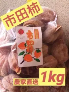 長野県産　南信州産　市田柿　10kg 2026年最新】市田柿 10kgの人気アイテム - メルカリ
