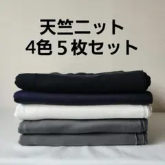 天竺ニット4色５枚セット