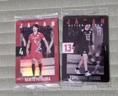 バレーボール男子日本代表 ウエハースカードセット　宮浦健人選手　小川智大選手