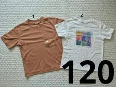UNIQLO Tシャツ 2枚セット 120cm