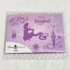 ディズニー★JCBカード　ラプンツェル　ピンバッジ　会員特典　非売品　2025年