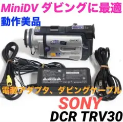 동작품 DCR-TRV30 SONY MiniDV 캠코더 더빙 418