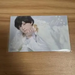 キャッテリア ラグドール　荒牧慶彦　ハーフブロマイド　ランダム