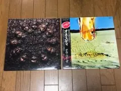 2026年最新】テラ・ローザの人気アイテム - メルカリ