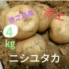 noriyoさん専用：京都産【小たけ】京筍 約2kg箱前後：クール便順送