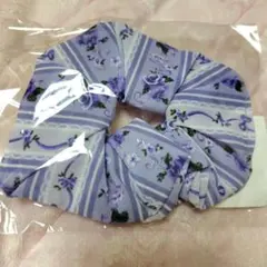 Item thumbnail for item bd83756b-da18-46f6-9eae-1b8ada19696a