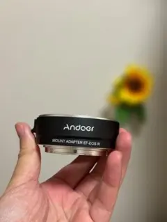 Item thumbnail for item c8256cc9-3699-4d1b-b8db-144f6ab02a18