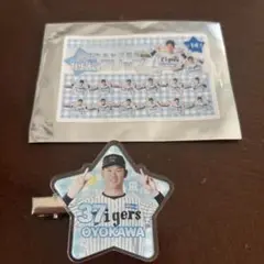 及川雅貴　選手　阪神タイガース　シークレットヘアクリップ