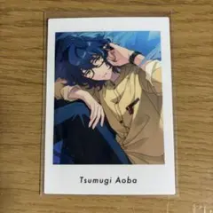 あんさんぶるスターズ！！ 青葉つむぎ ぱしゃっつ vol.6 Private
