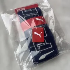 新品　PUMA スポーツタオル ポケット付きネックタオル 保冷剤3個付き　冷却のサムネイル