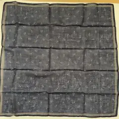 Item thumbnail for item 87546acb-967b-4802-8d19-bd481139322c