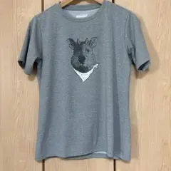 マーモット Marmot カプリコーニス Tシャツ 半袖 カモシカ キャンプのサムネイル