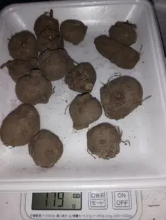 M・Y様 リクエスト 2点 まとめ商品